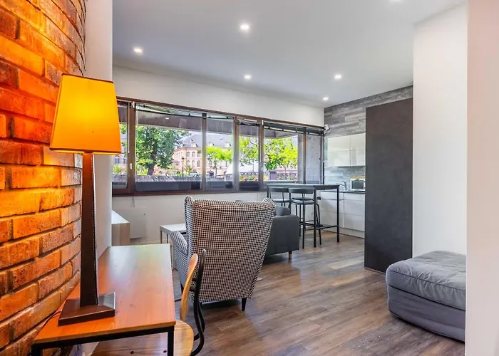 Apartamento Quai Des Roches-proche Cathédrale