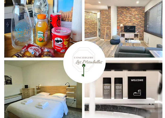 Quai Des Roches - Coeur De Metz & Cathedrale * Metz